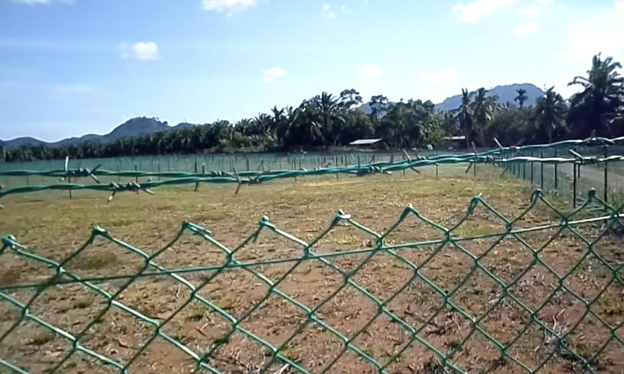 Lot terbuka yang lebih luas dengan pagar, pokok palma dan bukit — Damai Suria, Semporna.