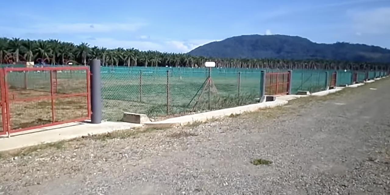 Lot kediaman di tepi jalan dengan pagar merah dan gunung di latar belakang — Damai Suria, Semporna.
